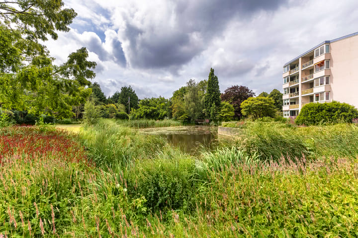 Photo 6 of Lindenlaan 20-A