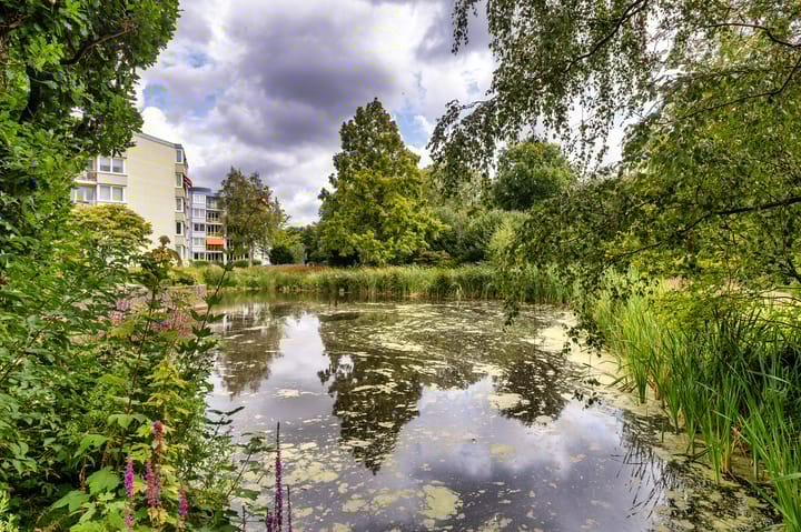 Foto 3 van Lindenlaan 20-A