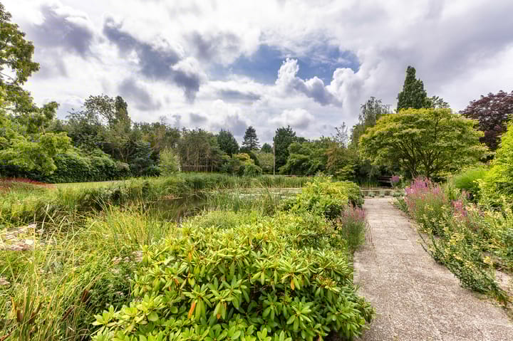 Photo 27 of Lindenlaan 20-A