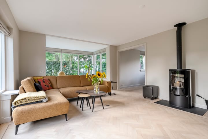 Foto 12 van Hondsroos 21