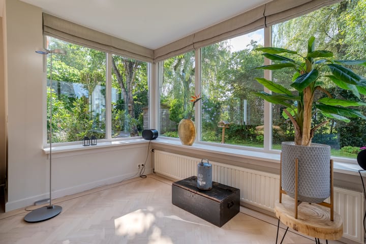 Foto 18 van Hondsroos 21