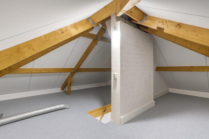 Foto 37 van Hondsroos 21