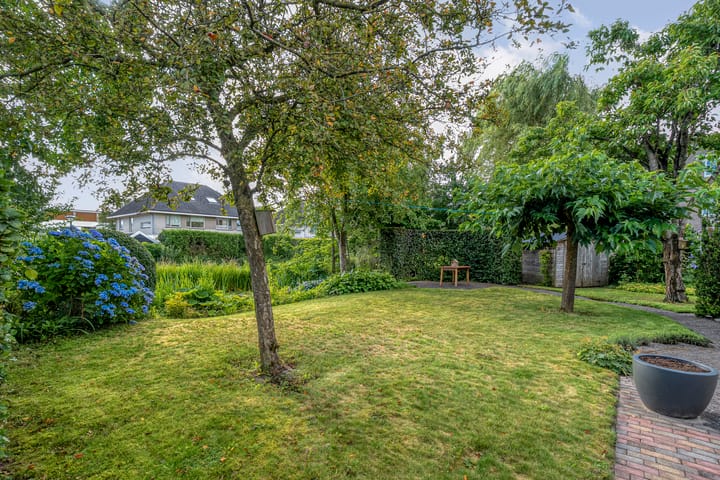 Foto 40 van Hondsroos 21