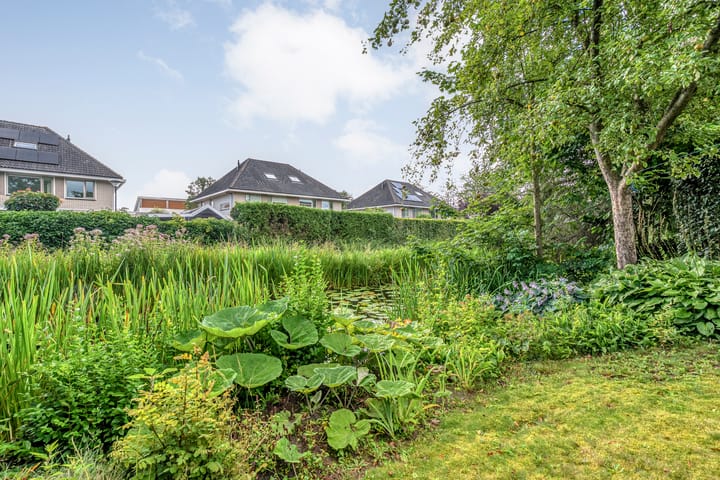 Foto 43 van Hondsroos 21