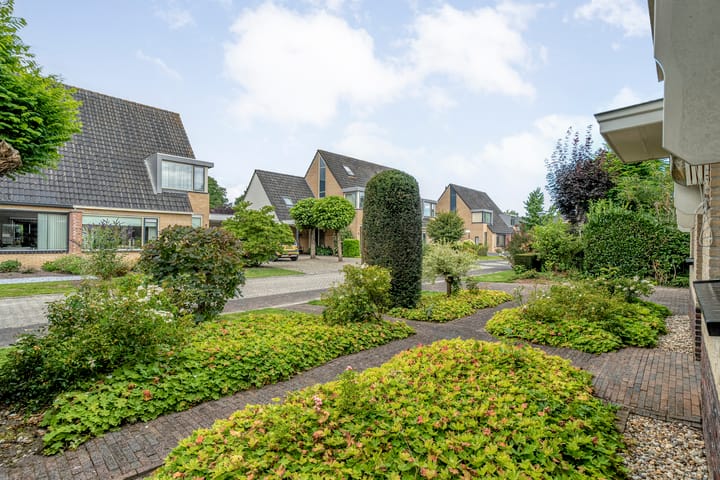 Foto 48 van Hondsroos 21