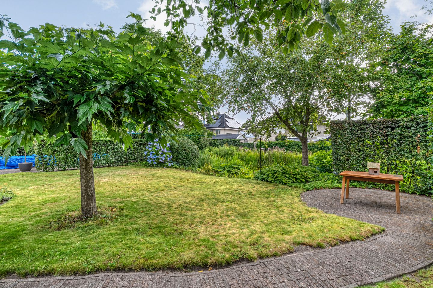 Foto 49 van Hondsroos 21