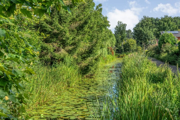 Foto 54 van Hondsroos 21