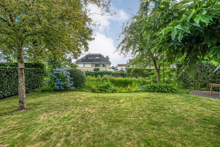 Foto 41 van Hondsroos 21