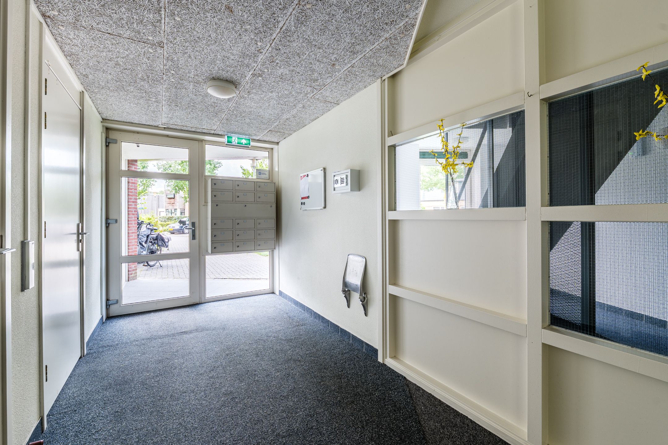 Foto 6 van Hooiland 25