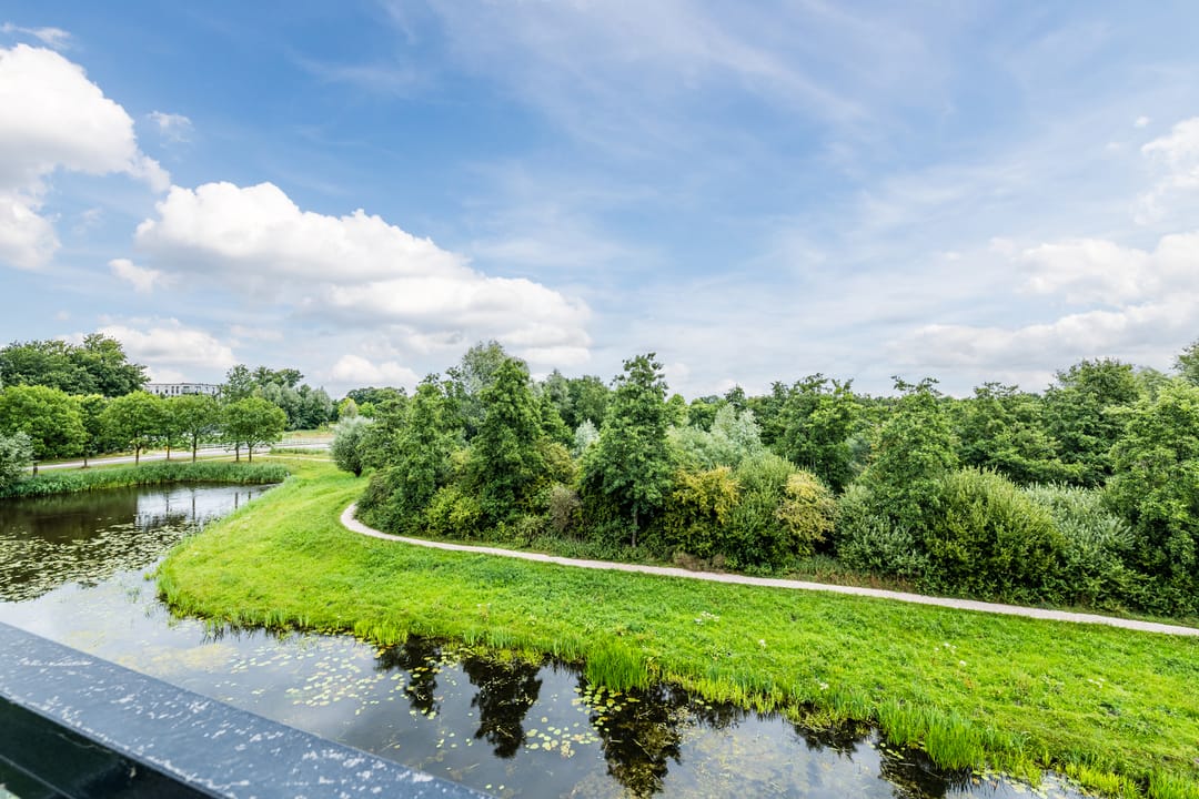 Foto 13 van Hooiland 25