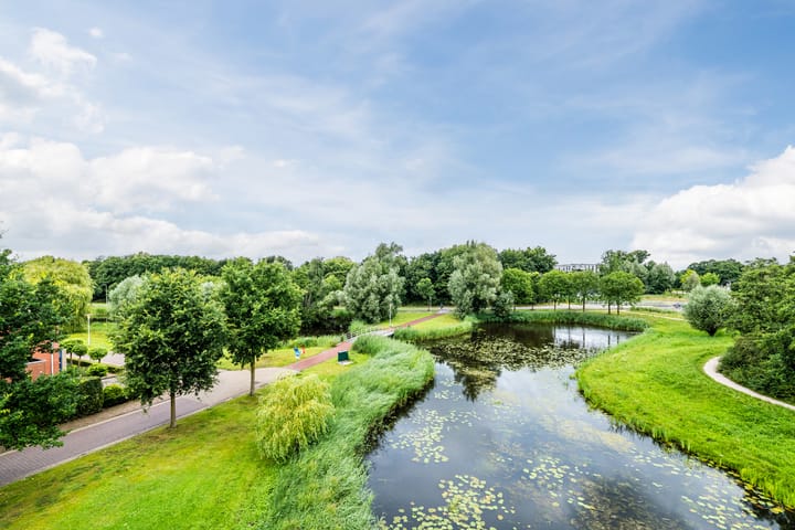 Foto 14 van Hooiland 25