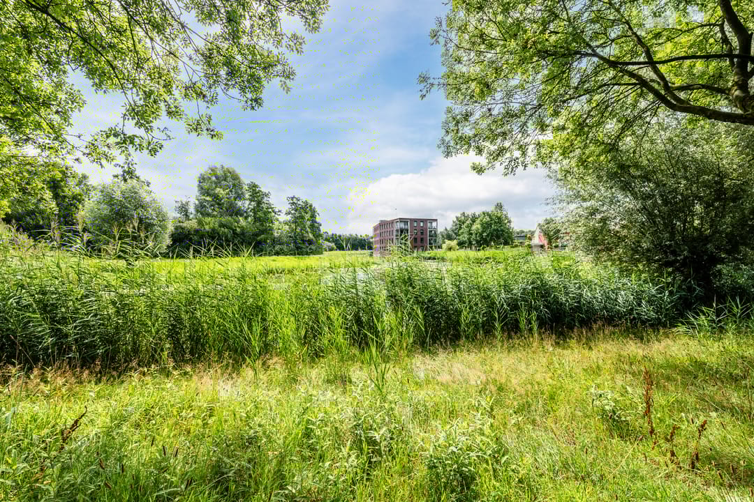 Foto 32 van Hooiland 25