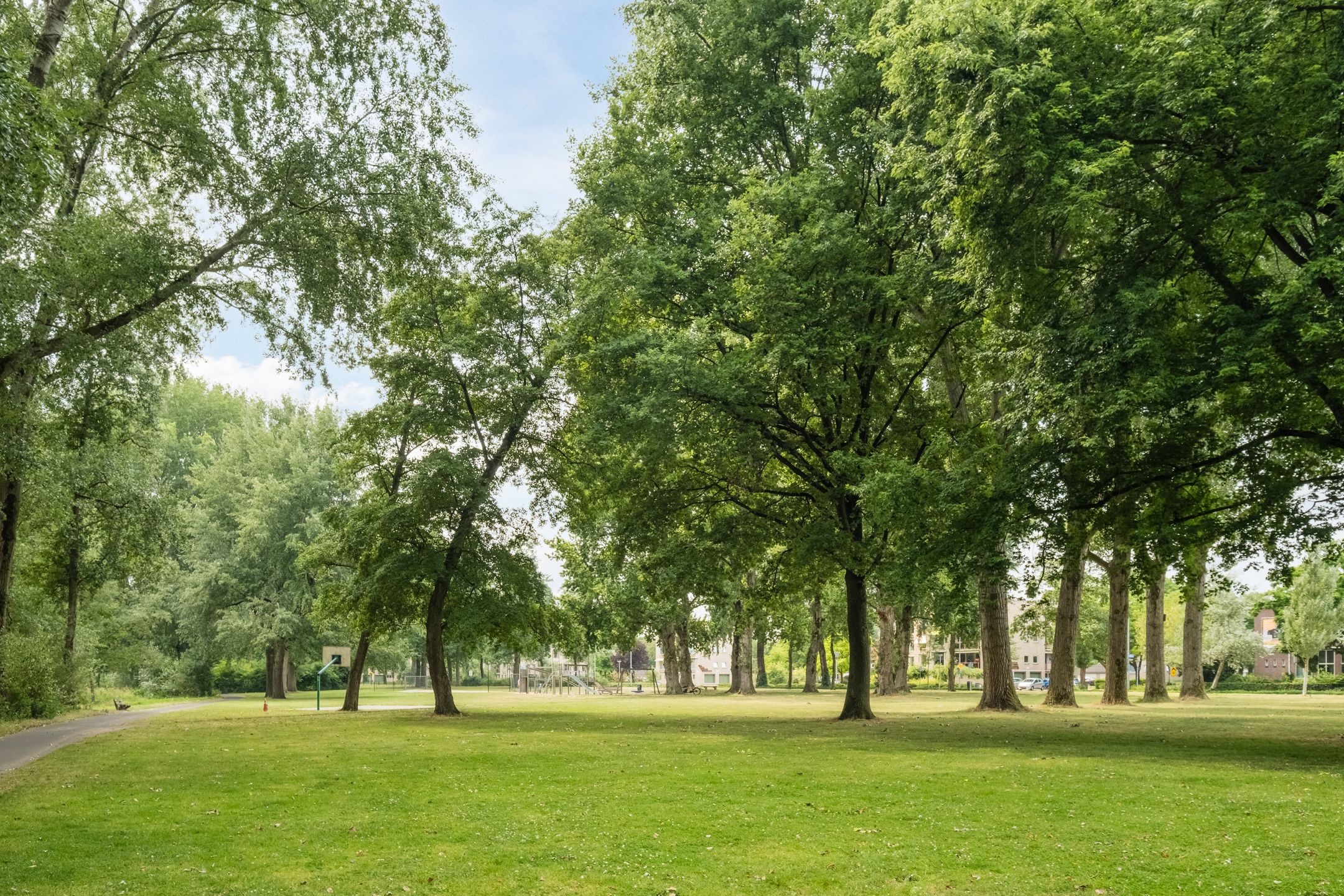 Foto 24 van Nicolaas Beetsstraat 11