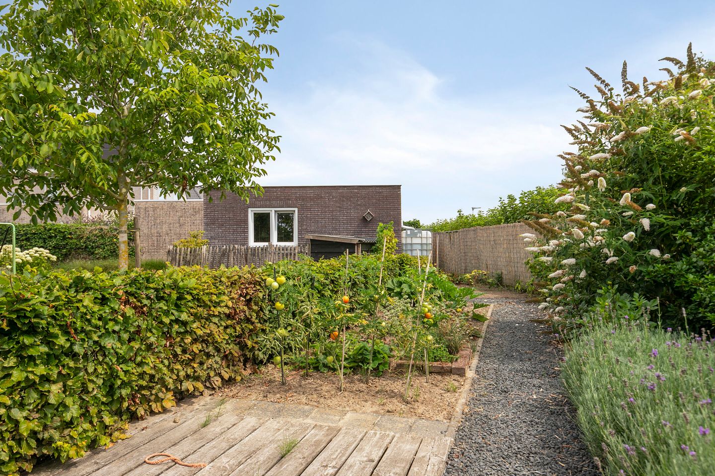 Foto 49 van Uithof 6