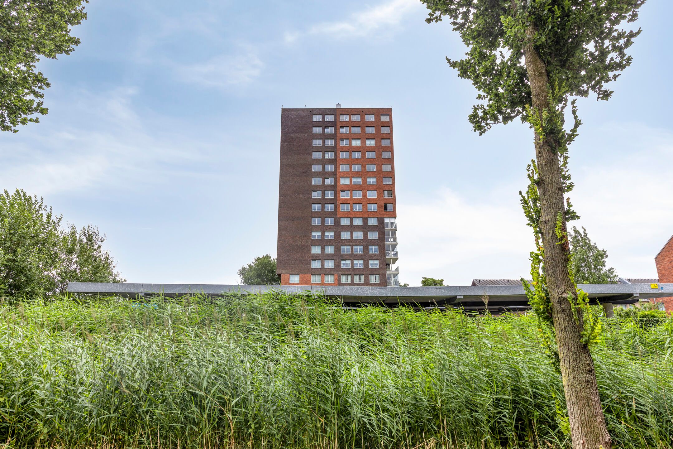 Foto 30 van De Malus 187