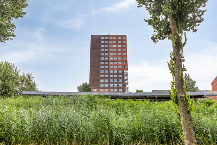 Foto 30 van De Malus 187