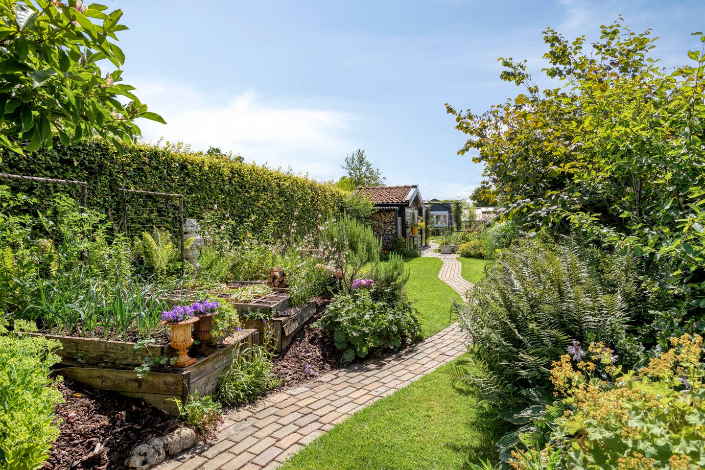 Foto 34 van Wilhelminastraat 81