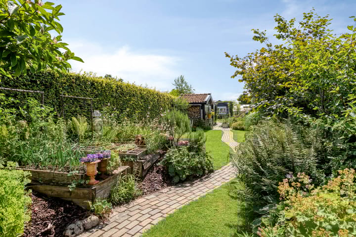 Foto 34 van Wilhelminastraat 81