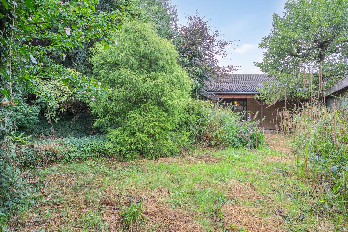 Foto 34 van Het Einde 29