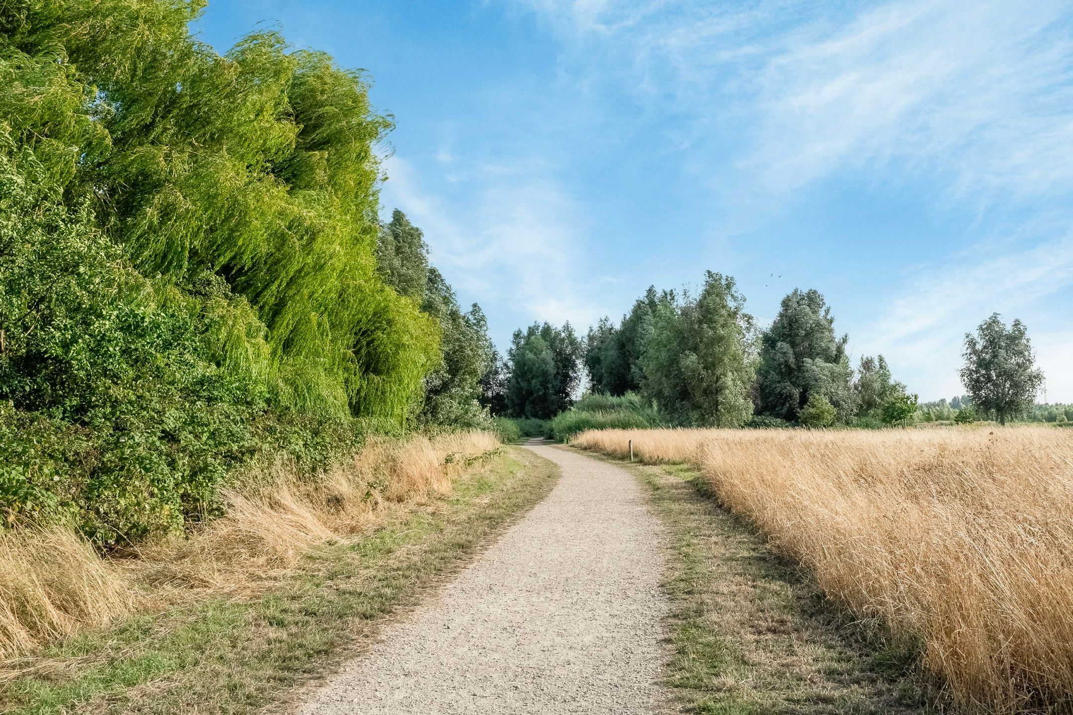 Foto 66 van Rijksstraatweg 53