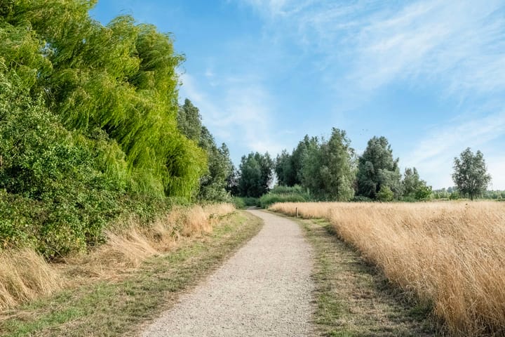 Photo 66 of Rijksstraatweg 53