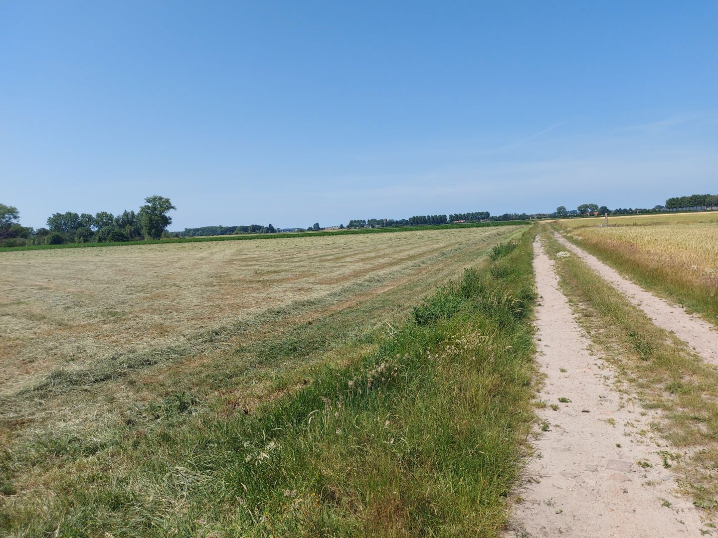 View photo 2 of aan de Oostweg
