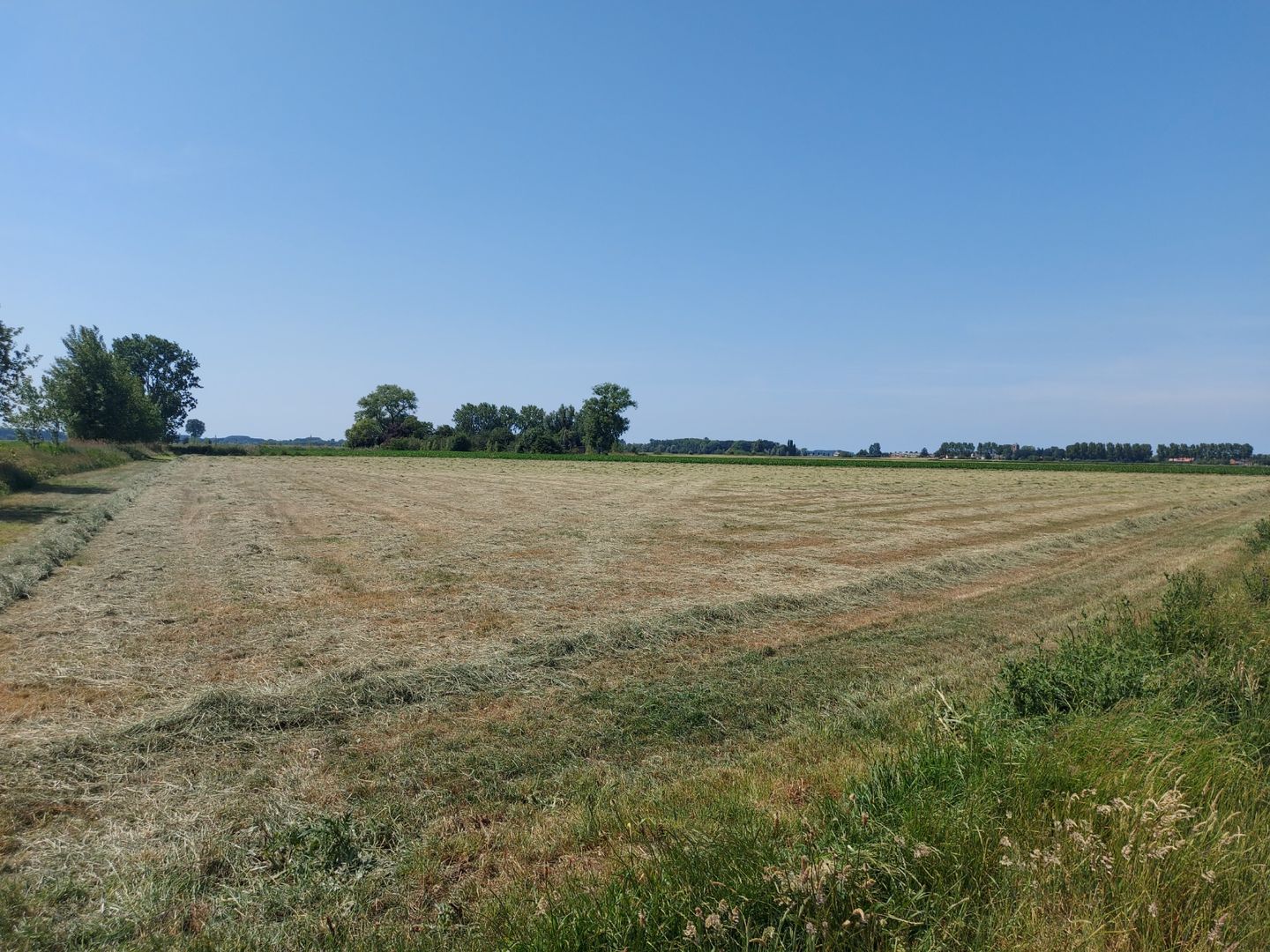 View photo 4 of aan de Oostweg