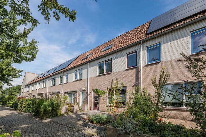 Foto 2 van Patrijs 72