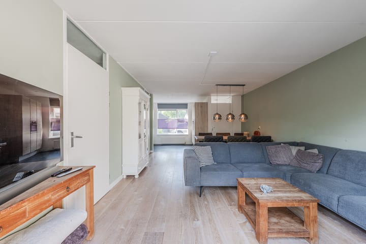 Foto 5 van Patrijs 72