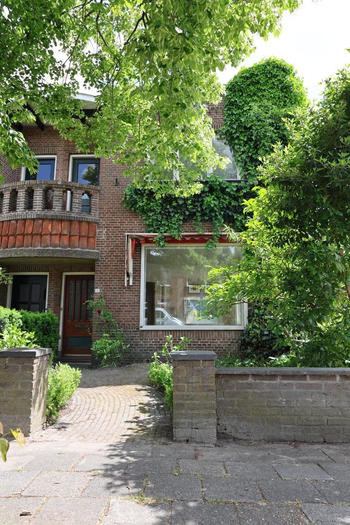 Foto 2 van Willem Lodewijkstraat 16