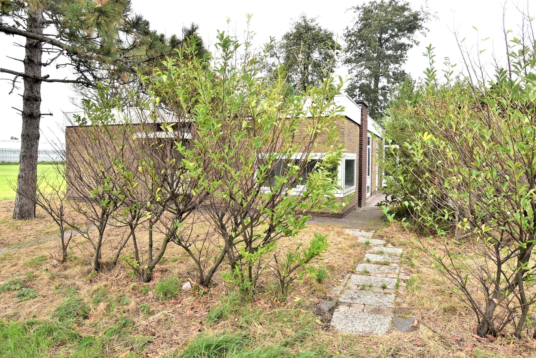 Foto 24 van Molenbroeklaan 5