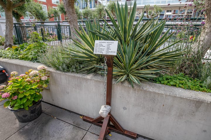 Foto 41 van Johan de Wittstraat 73