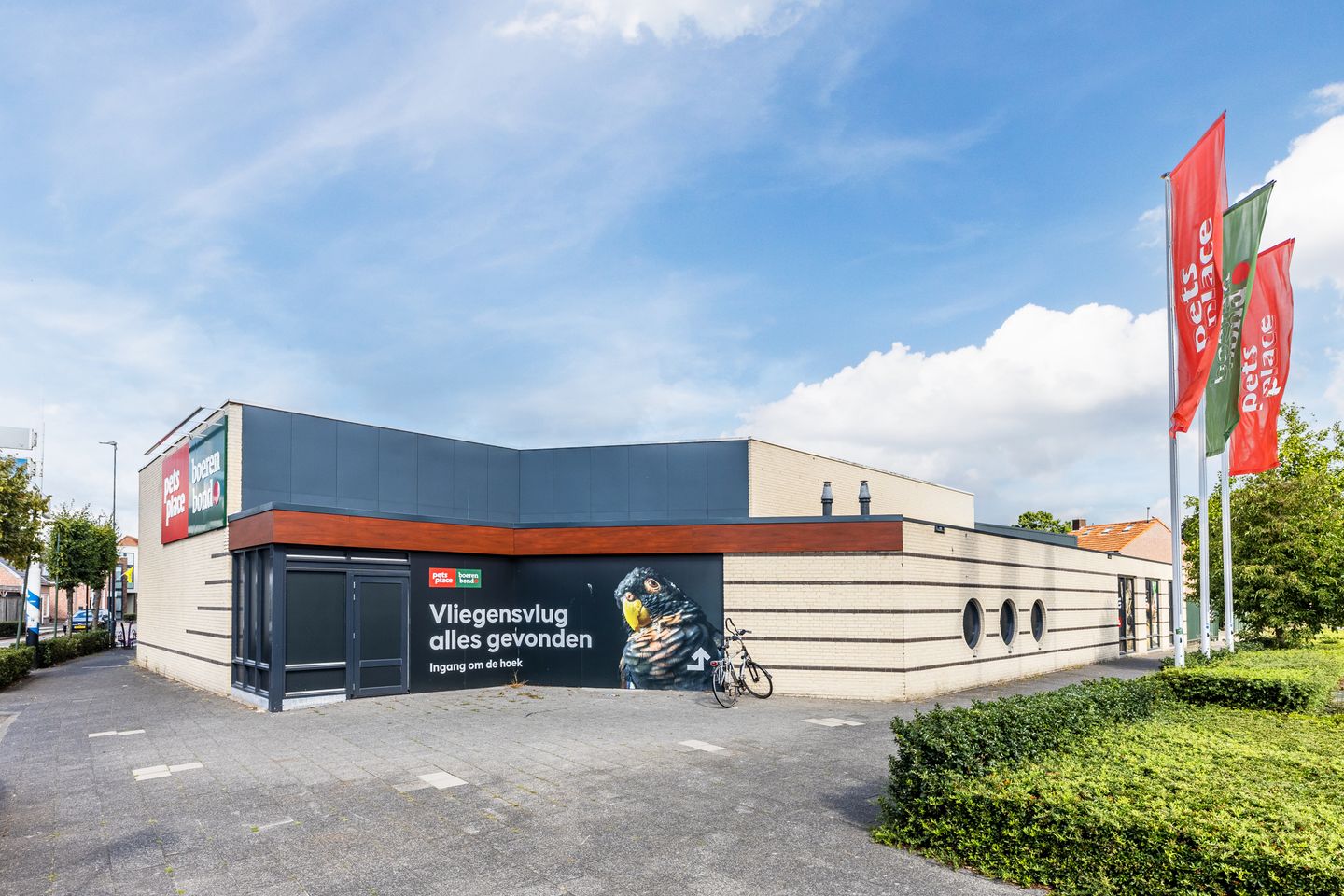 Foto 29 van Wilhelminastraat 50