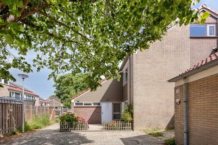 Foto 4 van Ireneplaats 50