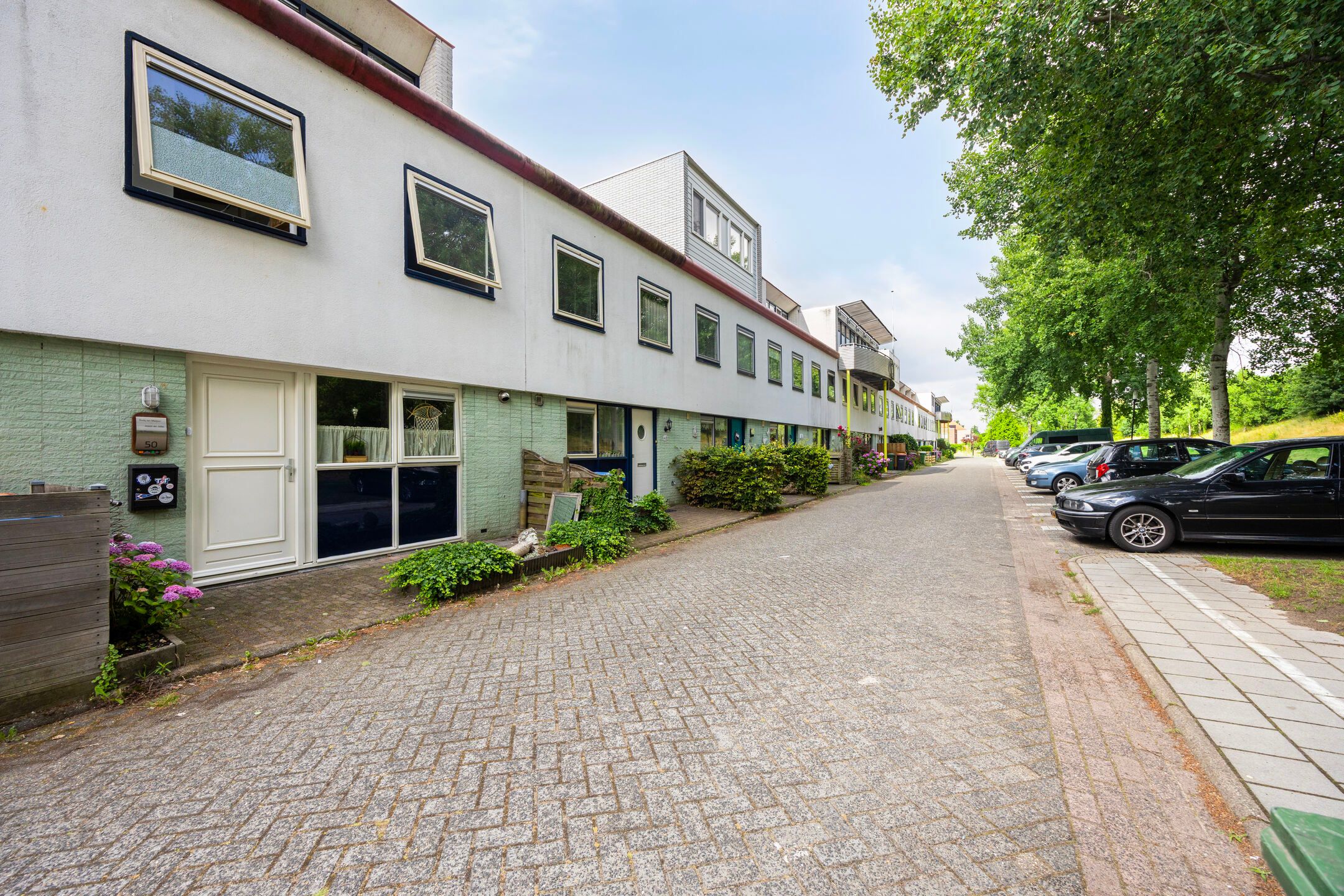 Photo 24 of Gangboord 50