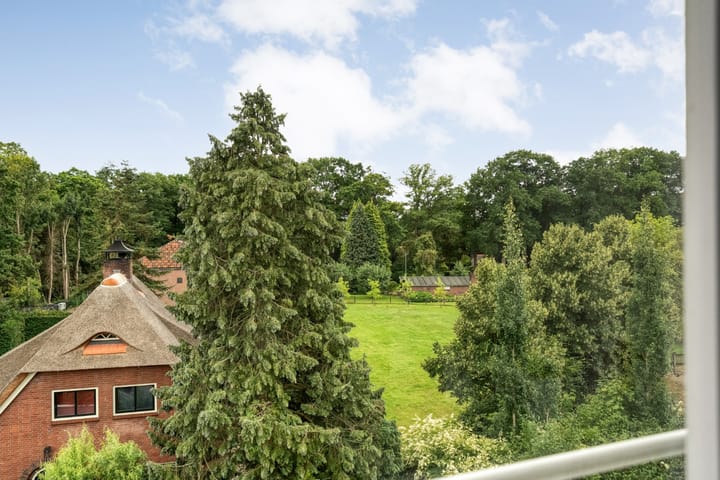 Photo 36 of Molenerf 43