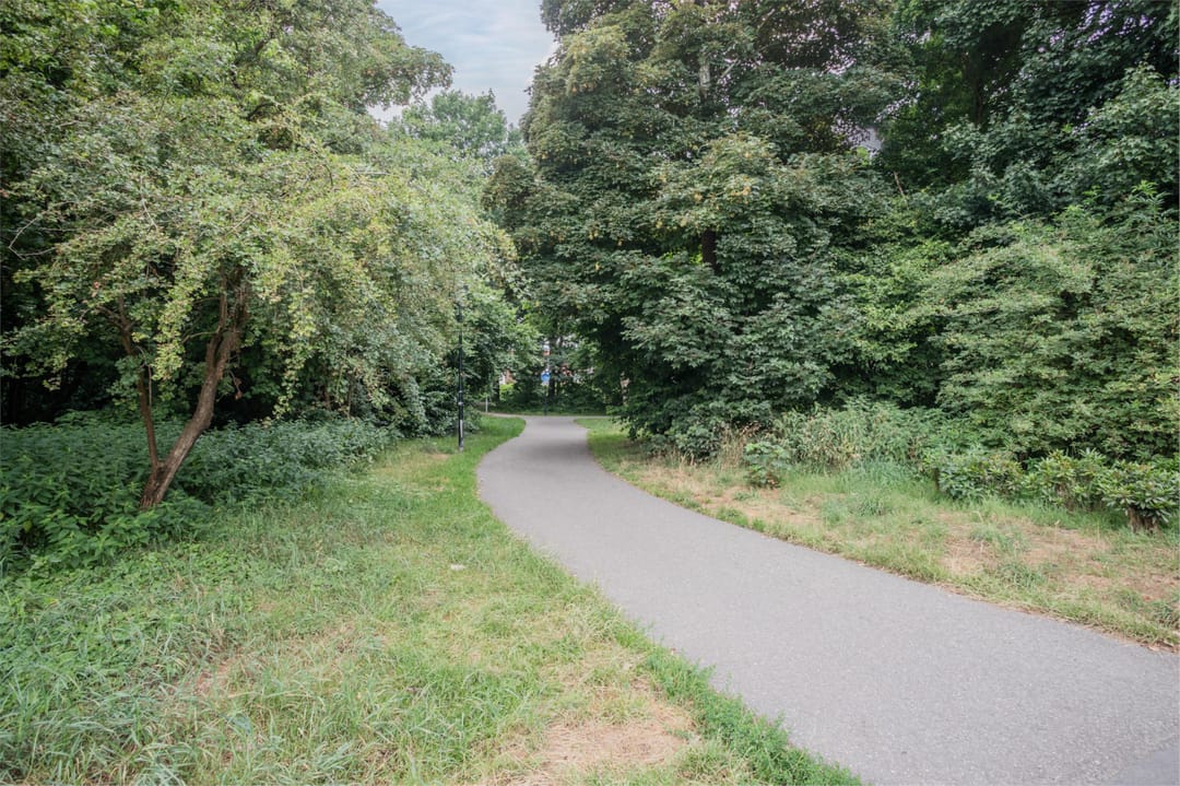 Foto 37 van Looiersdreef 665