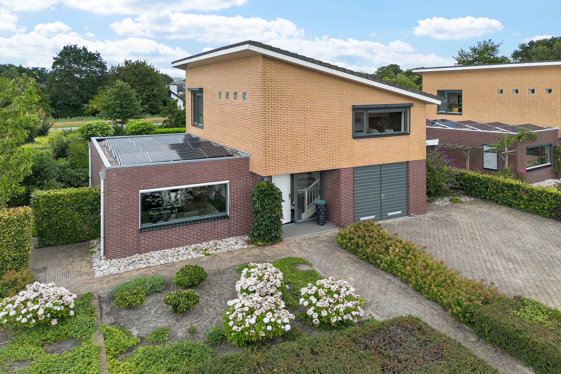 Waterranonkel, 6, Heerenveen, 8445RV, Friesland, Nederland 6