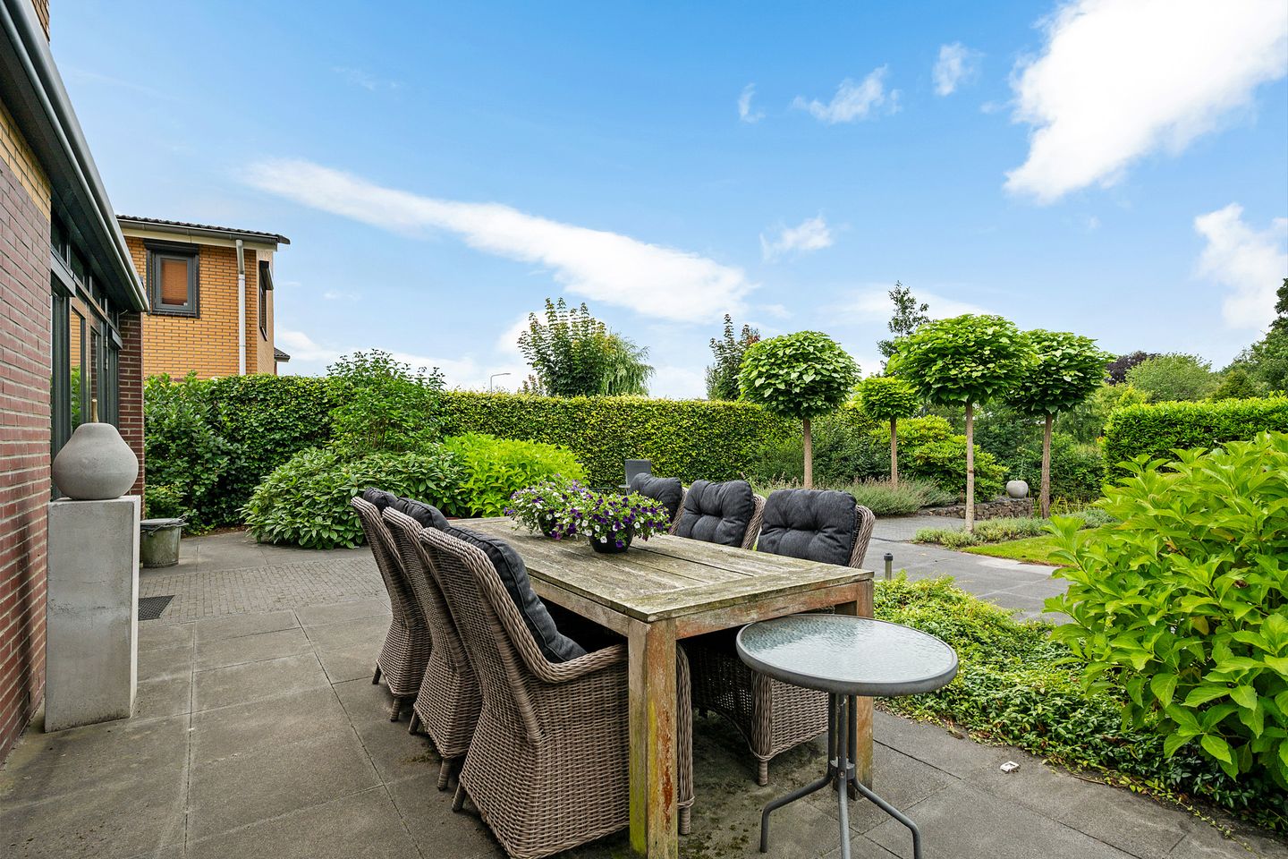 Photo 5 of Waterranonkel 6