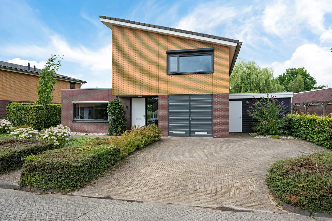 Photo 7 of Waterranonkel 6