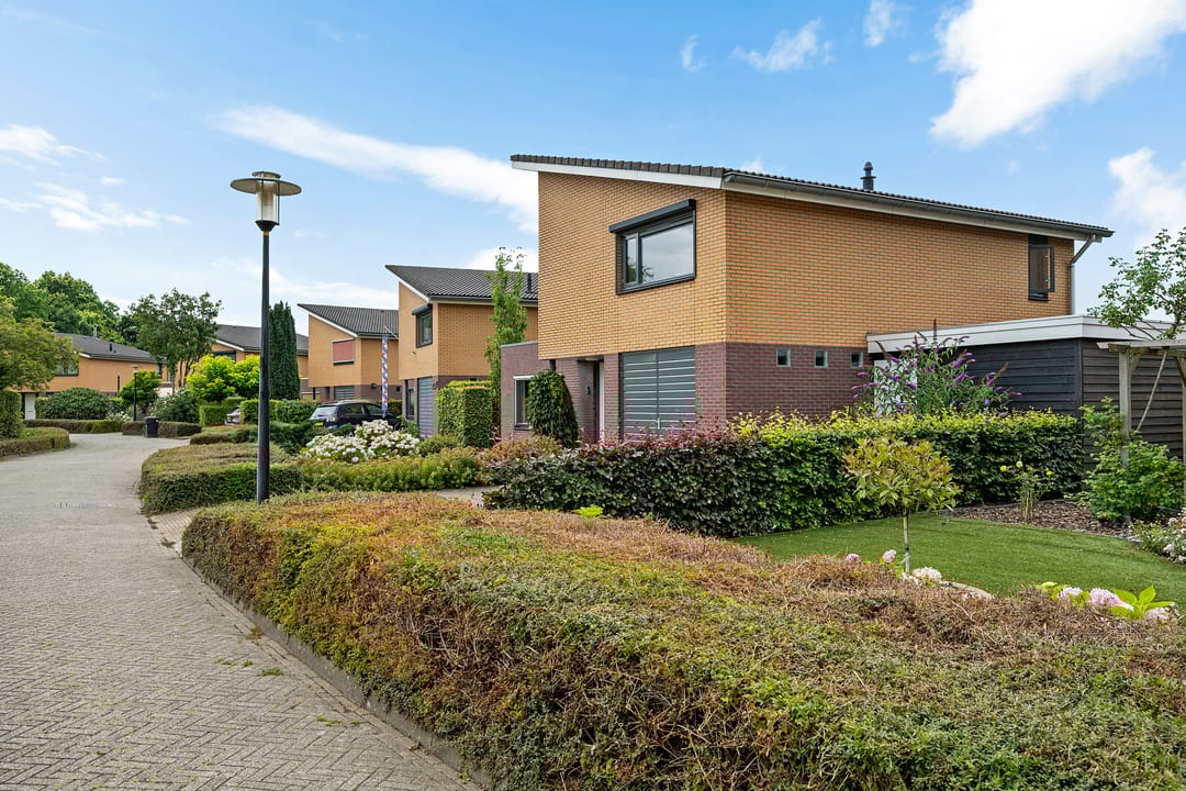 Photo 8 of Waterranonkel 6