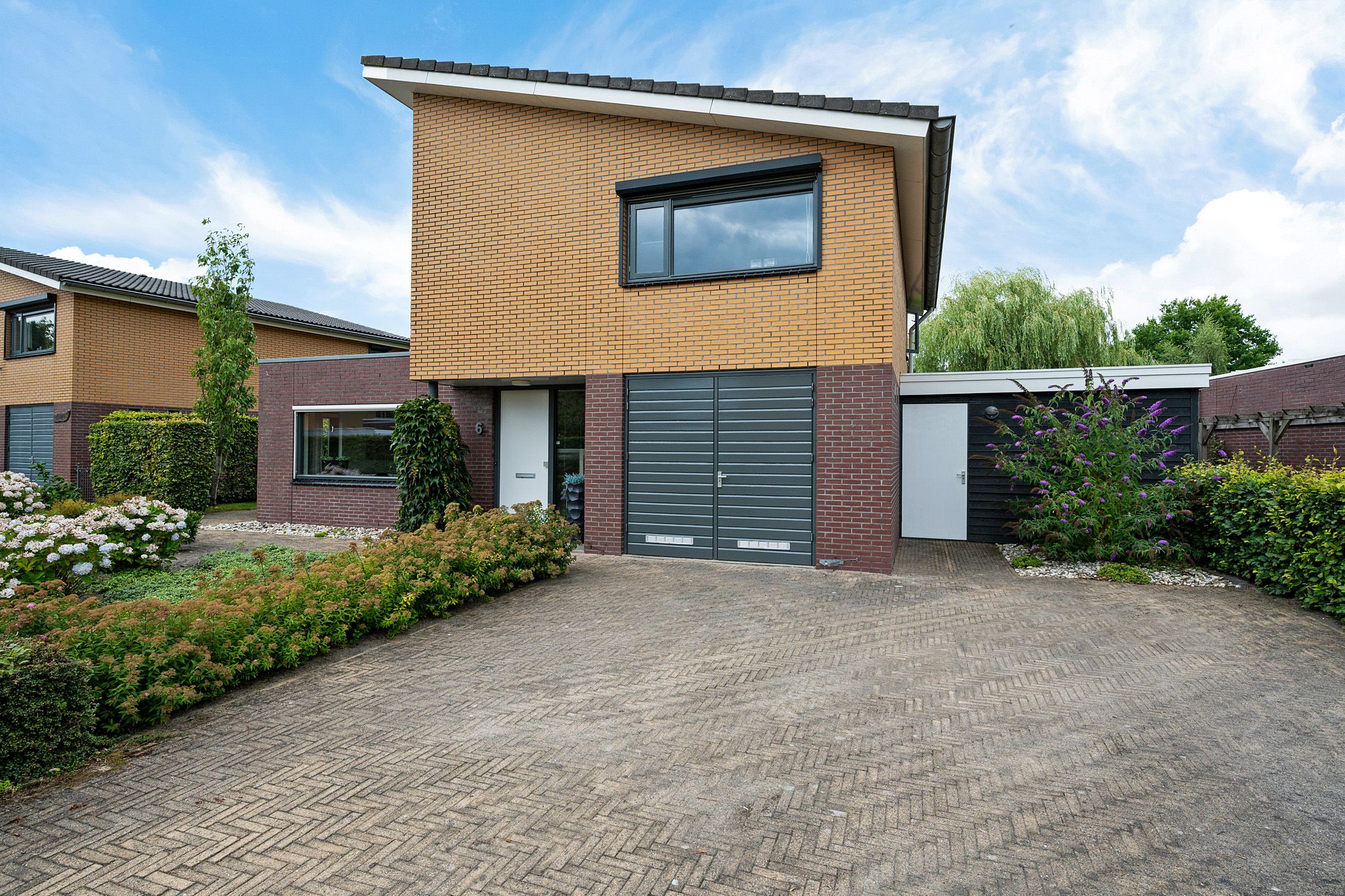 Photo 9 of Waterranonkel 6