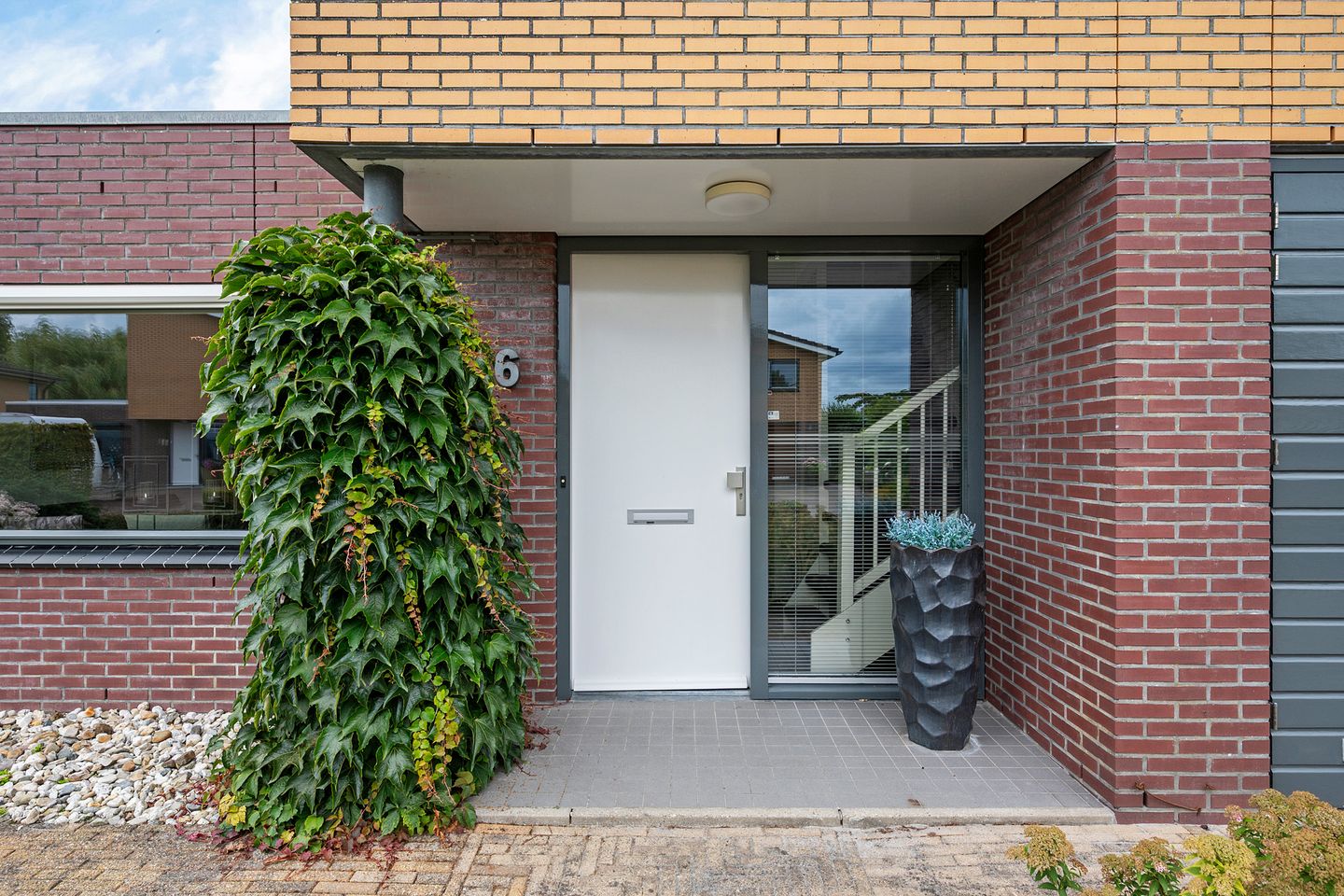 Photo 10 of Waterranonkel 6