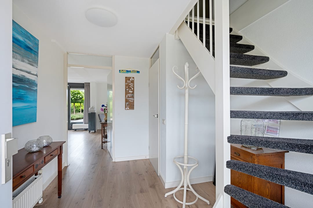 Photo 11 of Waterranonkel 6