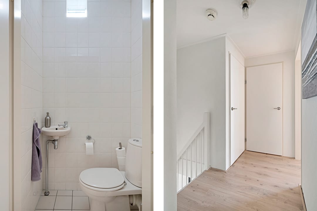 Photo 23 of Waterranonkel 6