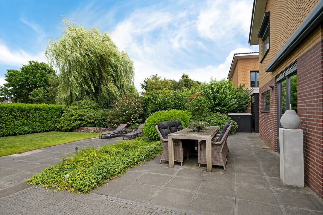 Photo 28 of Waterranonkel 6