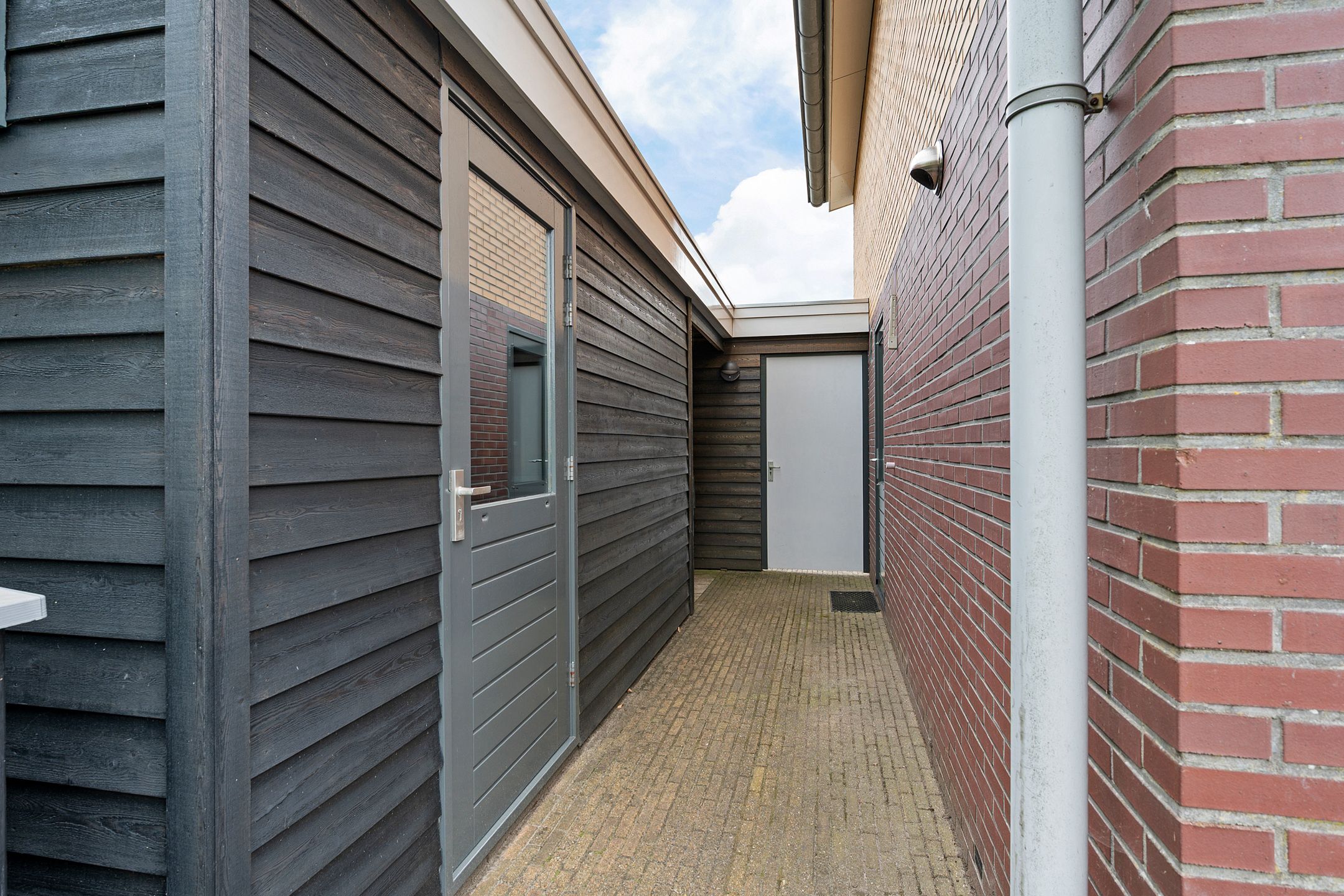 Photo 30 of Waterranonkel 6