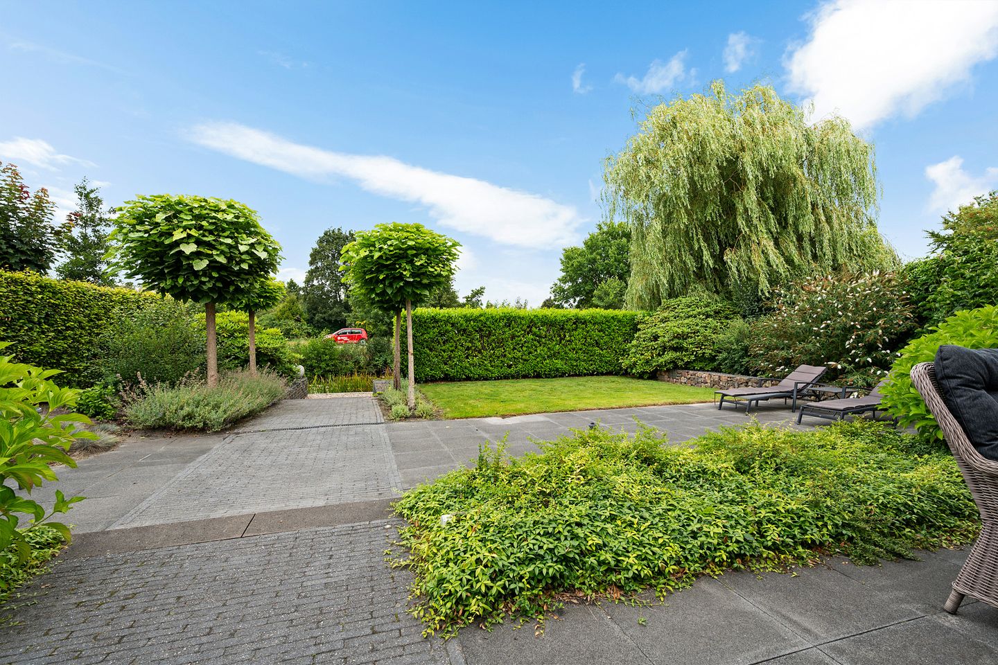 Photo 34 of Waterranonkel 6