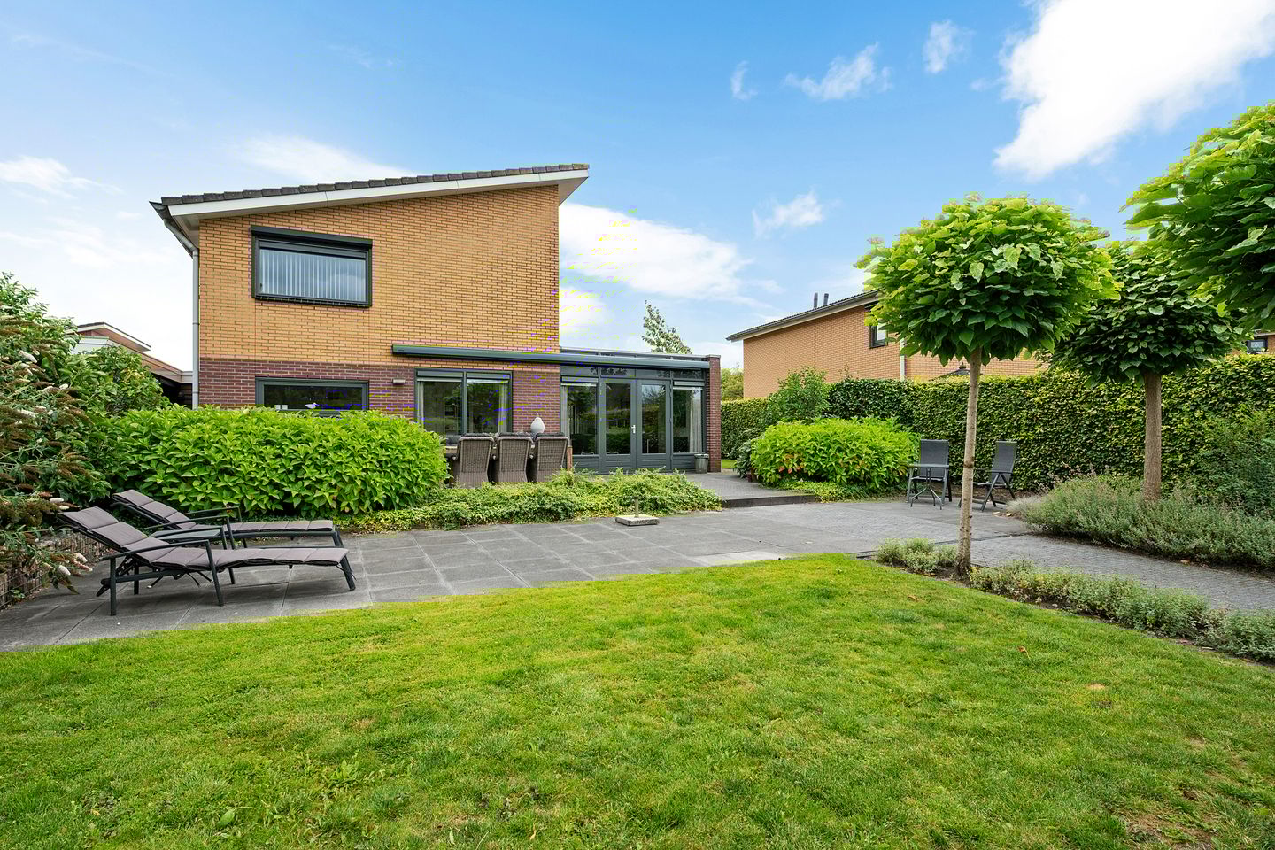 Photo 35 of Waterranonkel 6