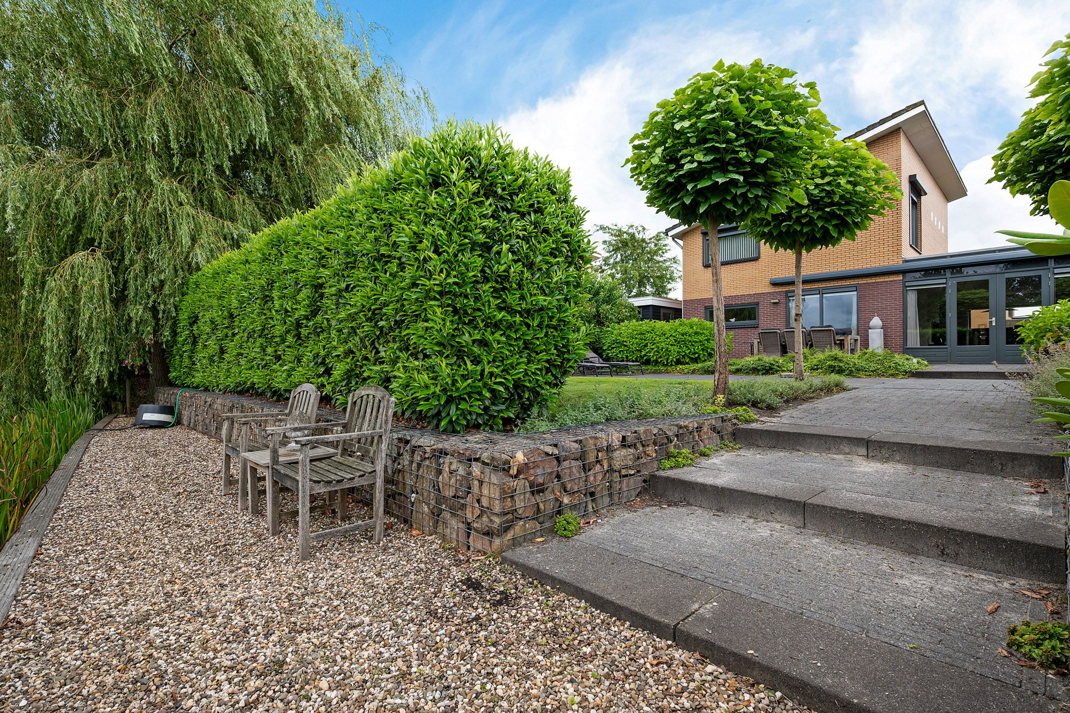 Photo 39 of Waterranonkel 6